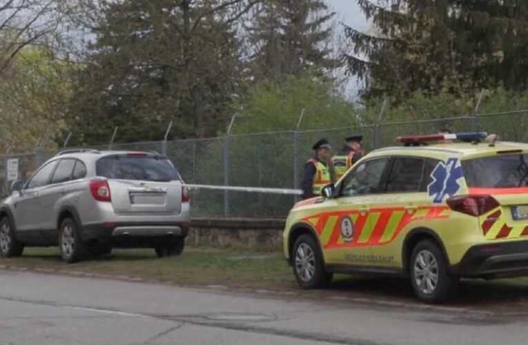 Stoffán György: Farkaskaland, gyermekhalál… társadalom