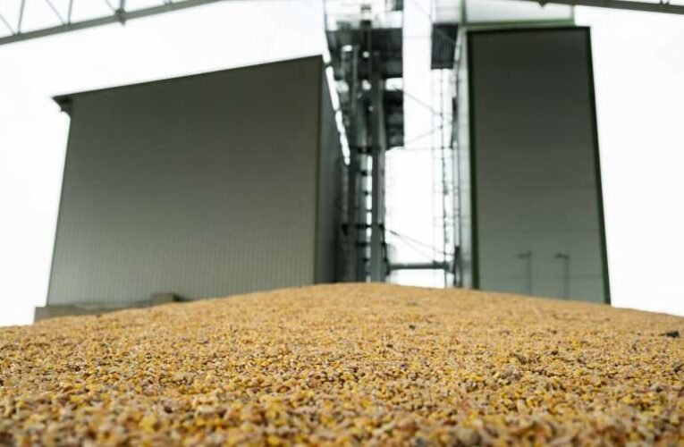 Szijjártó Péter: rendkívüli erőt ad Magyarországnak, hogy mezőgazdasága a hazai fogyasztás dupláját termeli meg