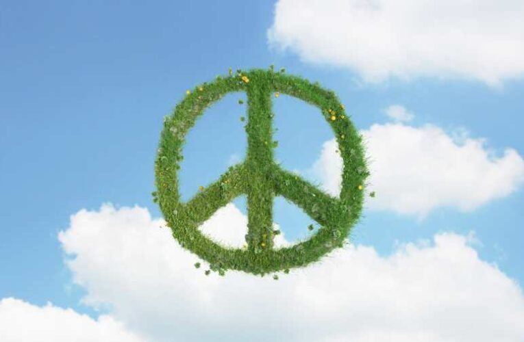 Békekezdeményezésekről és hiányosságukról