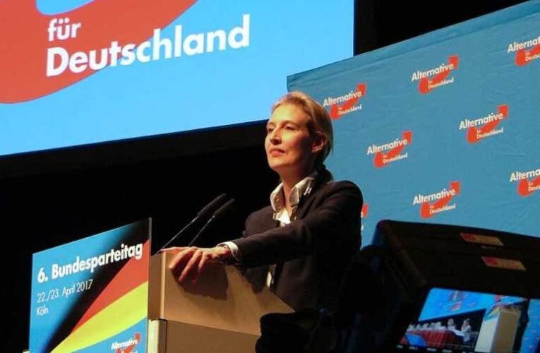 Az AfD vezetője kőkeményen kimondja az igazságot a német parlamentben