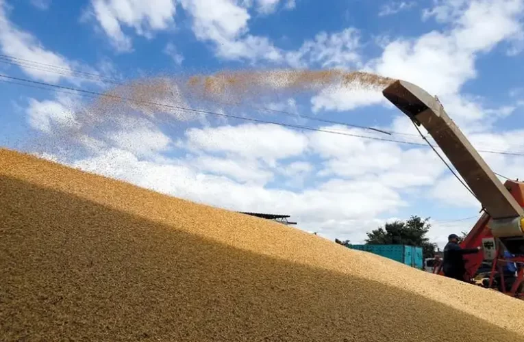 Magyarország megtiltja 24 fajta ukrán mezőgazdasági termék behozatalát