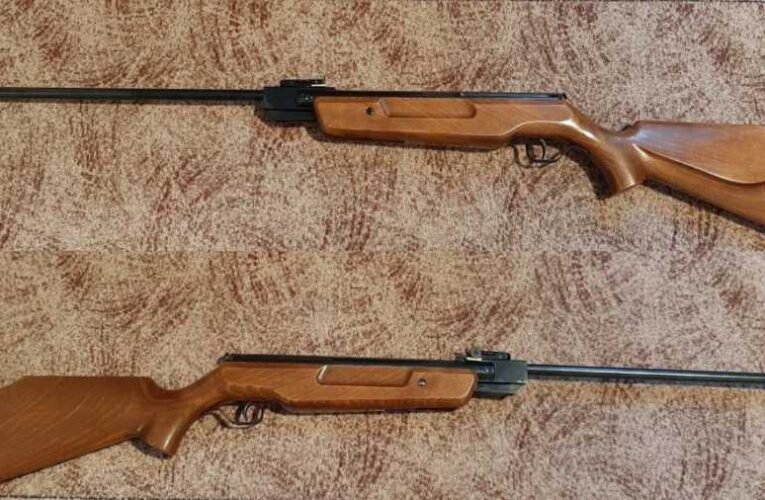 Légpuskával lőttek hátba egy idős férfit, hogy ellopják egy kocáját