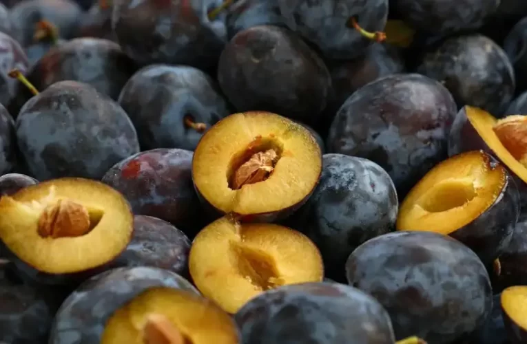 650 forint egy kiló szilva, miközben a gazdák nem kapnak többet érte 200-nál