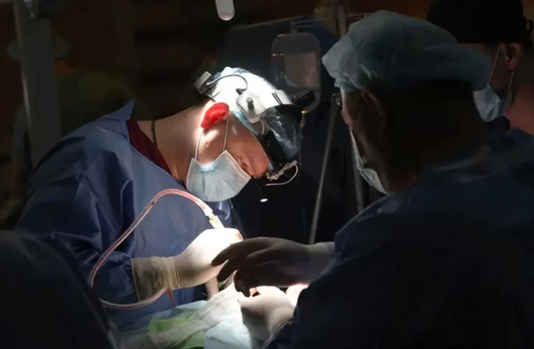 Emberszerv-kereskedelem Ukrajnában