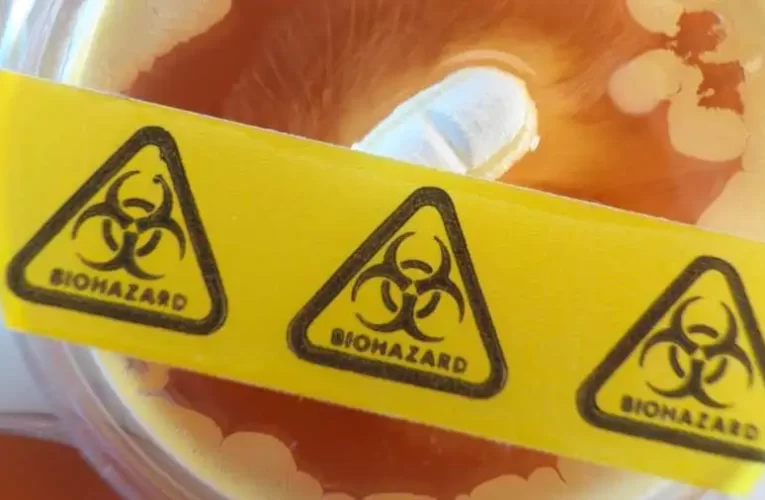 Feltehetően vegyi eszközt vetettek be az ukránok Orlovka körzetében (videóval)