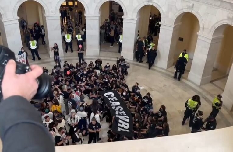 Palesztinbarát tüntetők szállták meg a Capitolium épületét (+videó)