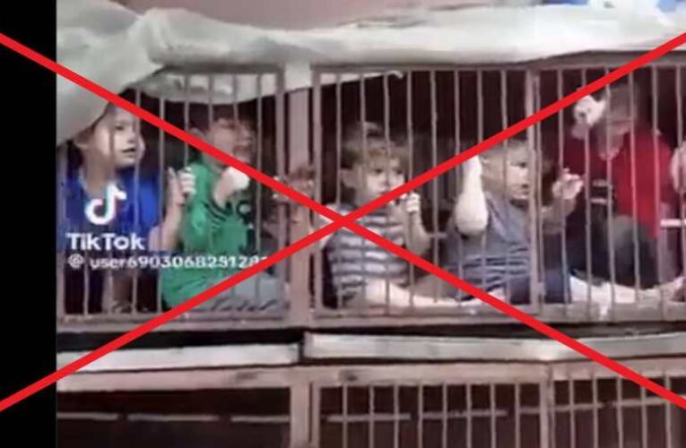 Nem valós a nyúlketrecben tartott zsidó gyermekeket ábrázoló videó (frissítés)