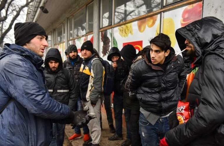 A tálib embercsempészekkel az erőszak és a gátlástalanság is megérkezett a szerb–magyar határtérségbe