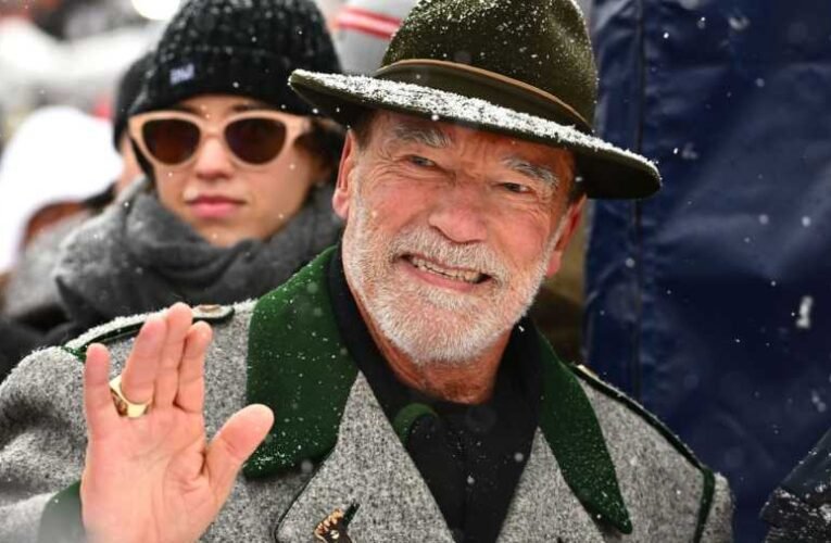 Letartóztatták Schwarzeneggert, fennakadt a vámon