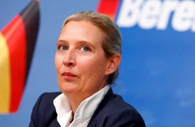 AfD: Németország másolhatja a Brexitet