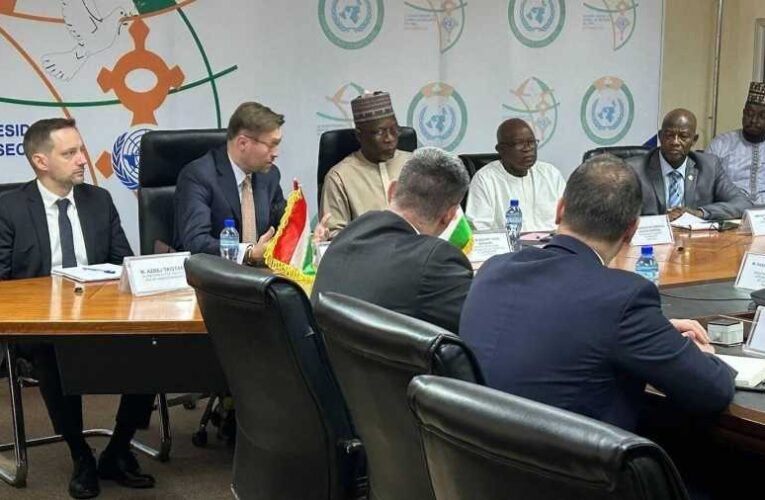 Kiderült, mit keresett Nigerben a rejtélyes magyar gép