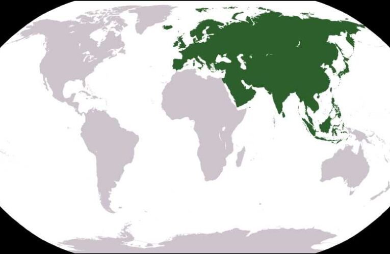 Mire készülnek 2024-ben Eurázsia vezetői?