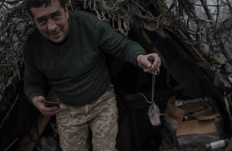 Patkányok és egerek teszik rémálommá az ukrán lövészárkokat (videó)