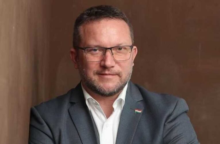 Ujhelyi szerint „káros” Magyarországnak a szuverenitás