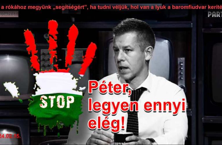 Nem tudod a rést kijavítani, ha ledöntöd hozzá a falat – egy civil nyílt levele Magyar Péternek