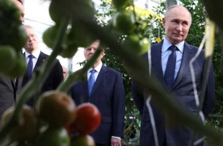 Putyin: Oroszország már nem függ az élelmiszerimporttól