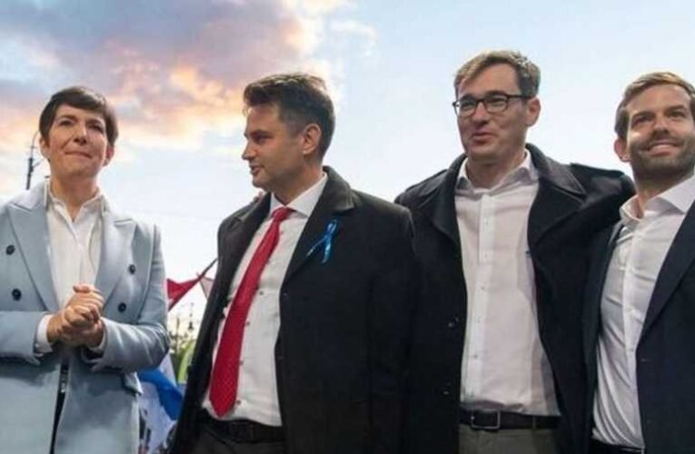 Deutsch Tamás: A dollárbaloldal képviselői már büszkélkednek is azzal, hogy hazájuk ellen áskálódnak