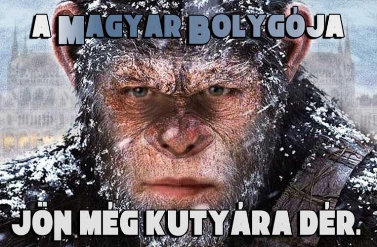 Bayer Zsolt „ócska, aljas, undorító, szar alaknak” nevezte Magyar Pétert