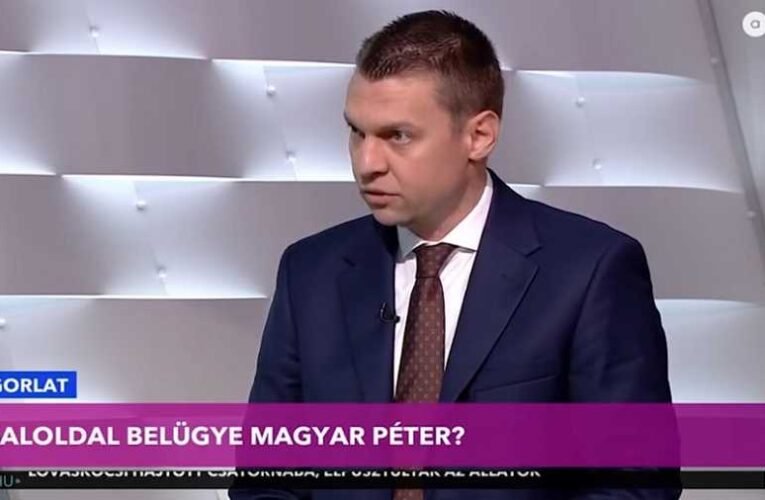 Menczer Tamás: Magyar Péter hazatért a baloldalra, oda, ahová való (videó)