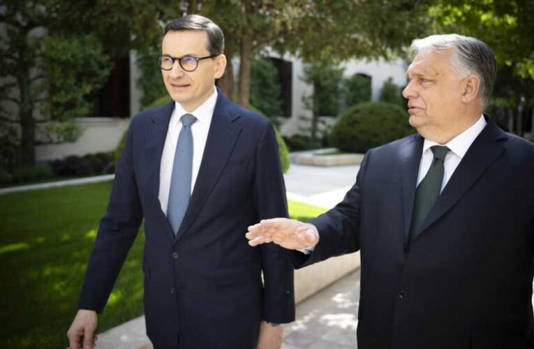 A magyarok és a lengyelek együtt harcolnak Brüsszelben