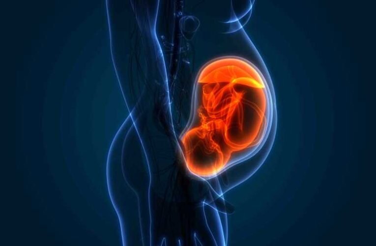 Halász Géza – Téglásy Imre: „A halál és élet harcba szállt” (húsvéti szekvencia)