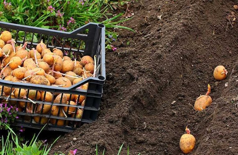 Nyílt levél Magyar Petinek a tüntetés okán