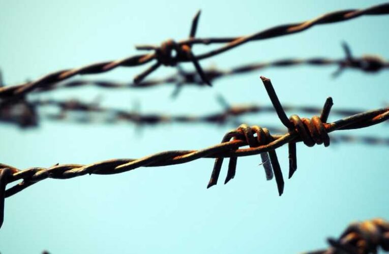 Stoffán György: Holokauszt-megemlékezésem 2024…