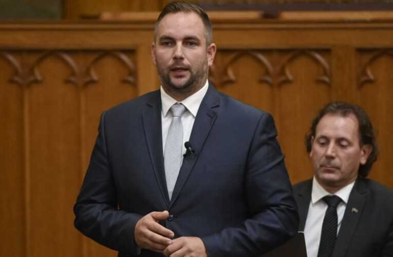 A DK után a Mi Hazánk is Sulyok Tamás lemondását követeli