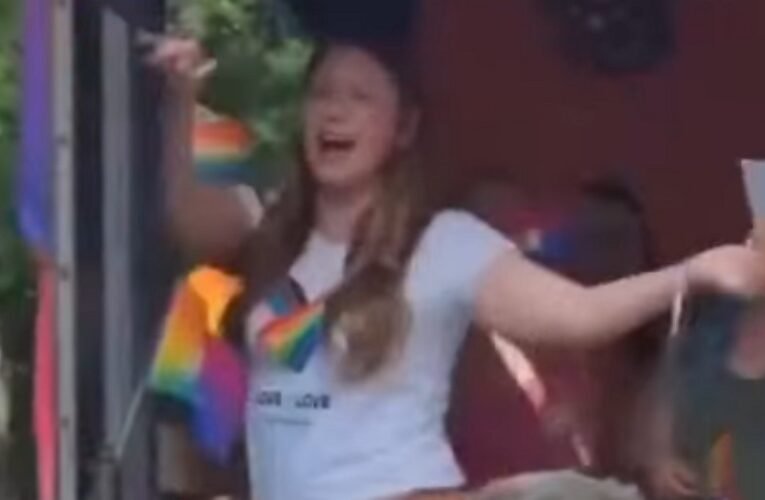 Az aberráltak és elmebetegek között vonaglott Donáth Anna – több elmeorvosra lenne szükség? (videó 18+)