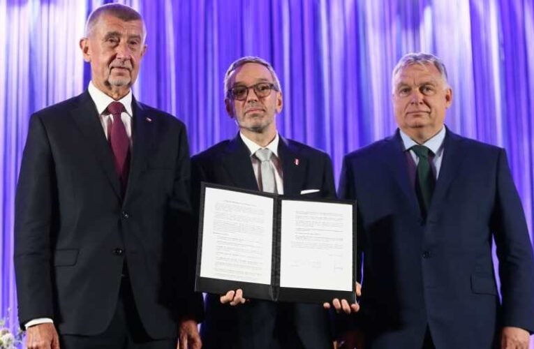 Hétfőn az egész Identitás és Demokrácia csatlakozhat a Patrióták Európáért frakciójához