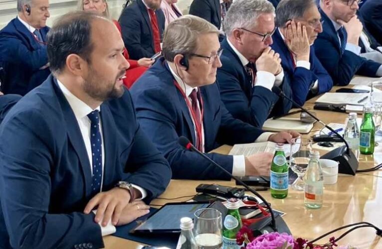 A NATO szerepvállalását sürgette az ukrajnai béketárgyalások megkezdésében a magyar delegáció vezetője