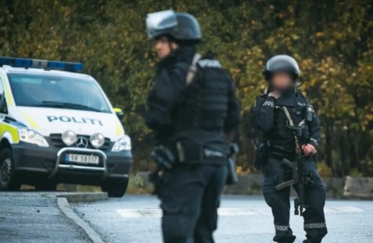 Maffia irányítja a skandináv országokban a „gyermekvédelmet” – Skandinávia elrabolt gyermekei (dokumentumfilm)