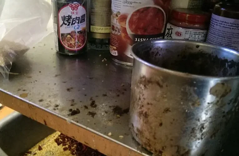 Bezáratott egy kecskeméti kínai éttermet a kormányhivatal