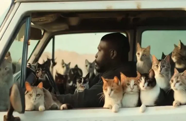 Videófelvételek valószínűsítik Trump állítását: a haiti migránsok macskákat esznek az ohiói Springfieldben (videó)