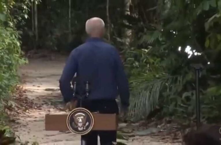 Biden beszédet mondott Brazíliában, majd elindult a dzsungelbe…