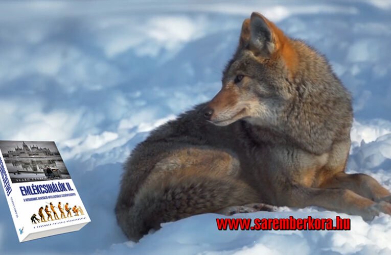 SZÉLSZAVA ÉS A FARKASOK – indián tanítás