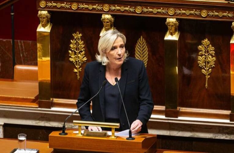 Le Pen: „Előrehozott elnökválasztásra készülök”