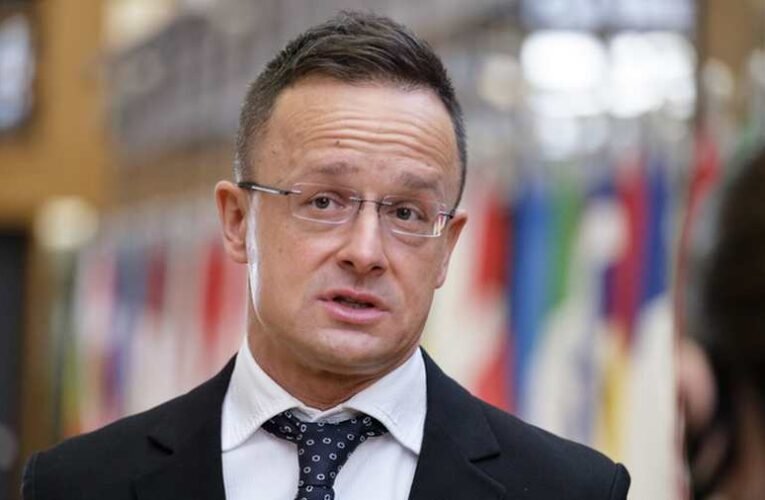 „Az amerikai vámemelés ismét Brüsszel alkalmatlanságát bizonyítja”