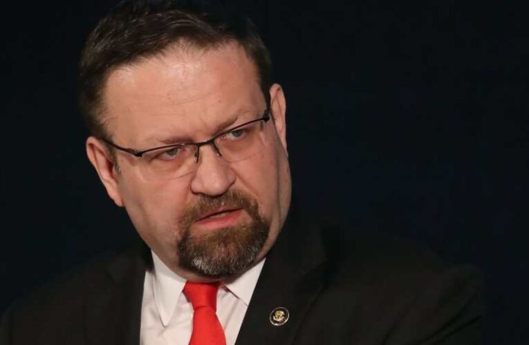 Bene Gábor: 2006 őszen Budapesten ismerkedtem meg Gorka Sebestyénnel…