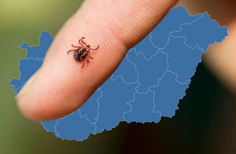 Gondolatok, Pajor András védelmében…