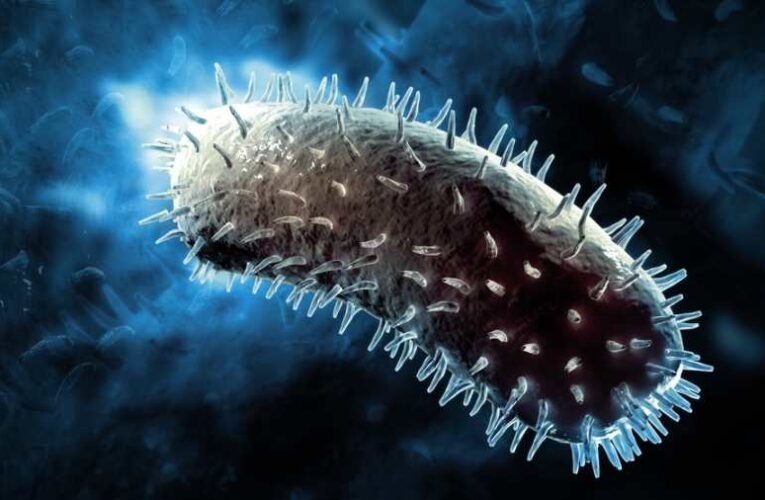 Halálos vírust tartalmazó minták fiolái tűntek el egy biolaborból