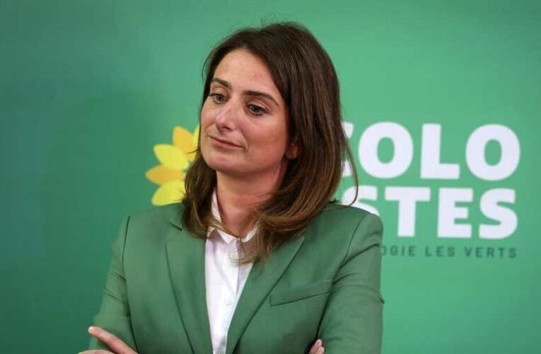 A francia zöldek vezetője az X betiltását kéri az EU-ban