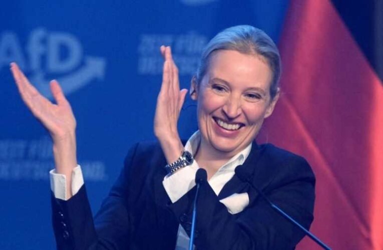 Halléban tartotta kampánynyitó rendezvényét az AfD