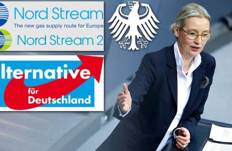 Die Zeit: a német parlament a jövő héten tárgyal az AfD betiltásáról