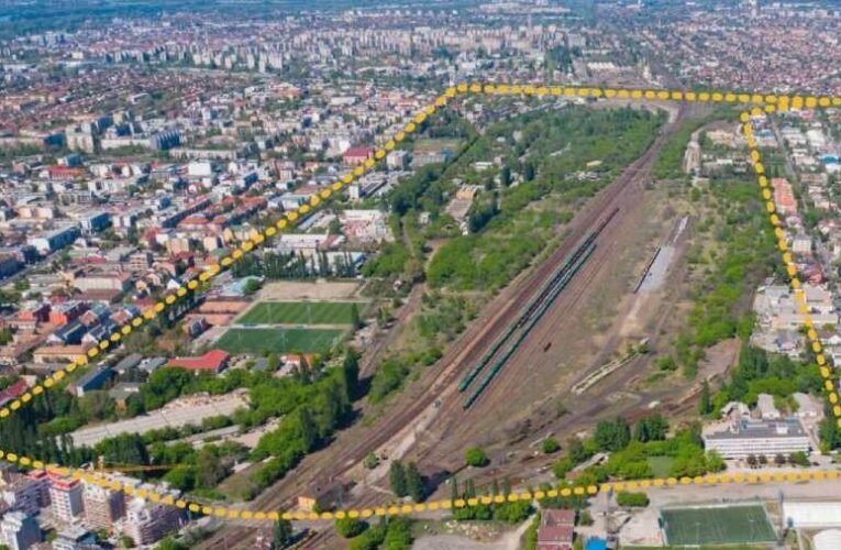 Rákosrendező (1894-2025) – eladva