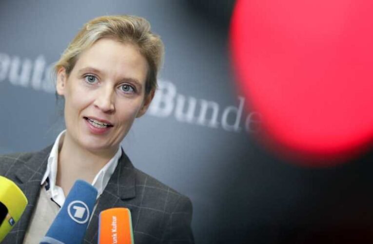 Alice Weidel: Az EU legújabb cselszövése, hogy Magyarországon kihívót építenek fel Orbán Viktor ellen