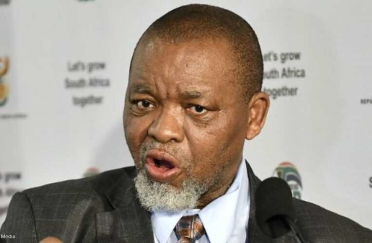 Dél-Afrika az ásványi anyagok exportjának leállítására szólít fel