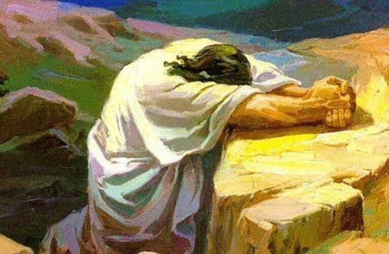 Czeglédi Andrea: Találkozásaink a halállal