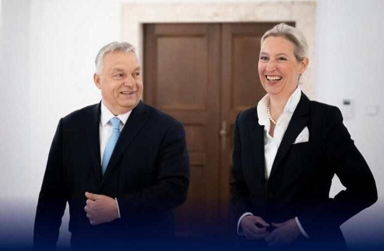 Hollai Hehs Ottó: AfD és FIDESZ, lesz közös jövő?