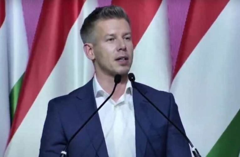 Magyar Péter: A küzdelem független, szabad, élhető Magyarországért folyik